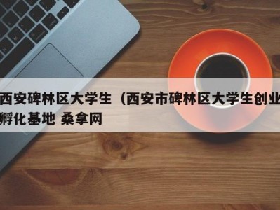 长春西安碑林区大学生（西安市碑林区大学生创业孵化基地 桑拿网