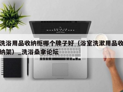 长春洗浴用品收纳柜哪个牌子好（浴室洗漱用品收纳架）_洗浴桑拿论坛